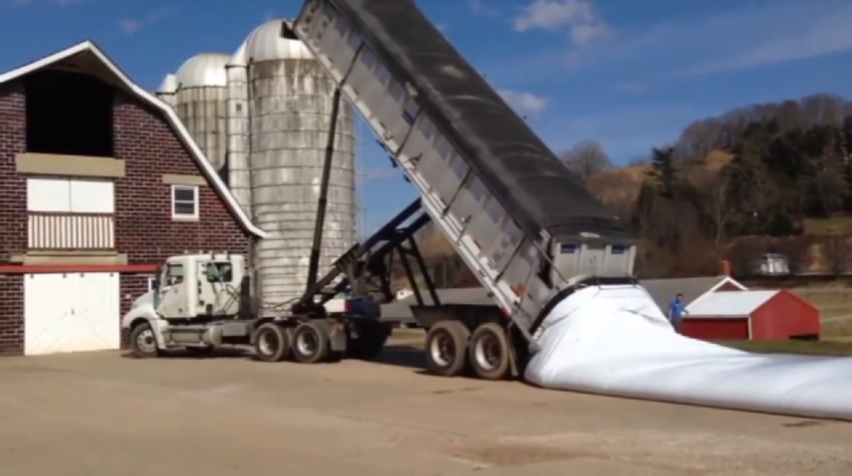 Как выгружают зерно с прицепа самосвала в один большой мешок