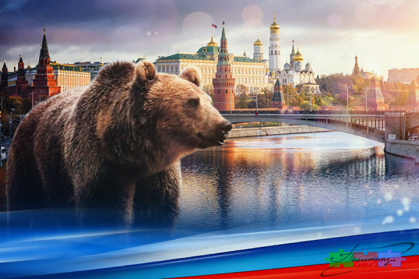 Медведь как символ России: французский генерал отдавал честь мишке с Урала, сражавшемуся с немцами