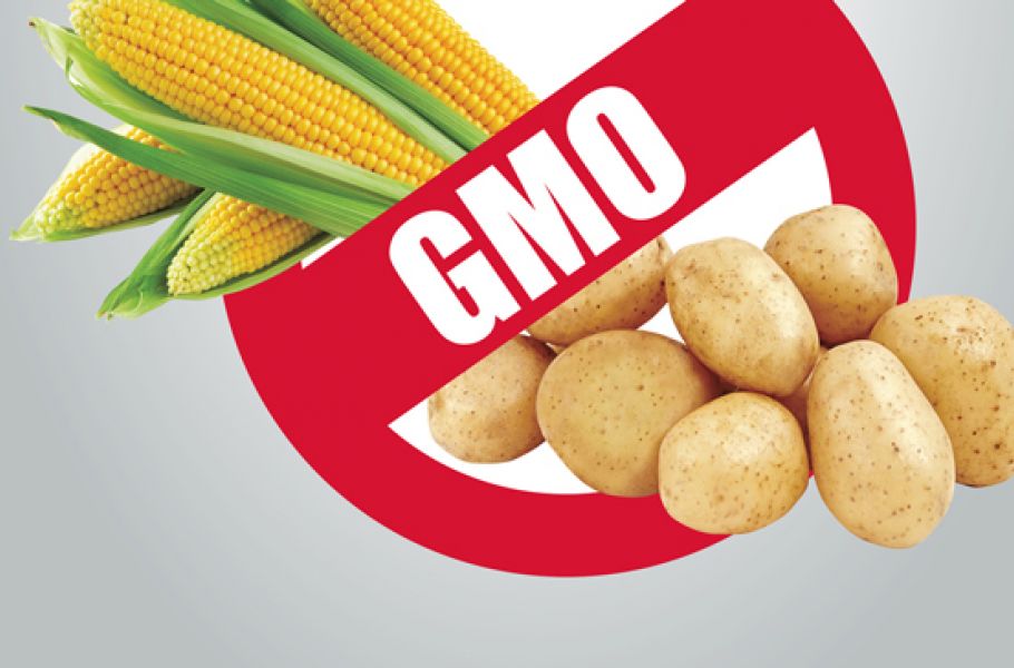 Россия прекратит импорт продуктов с ГМО