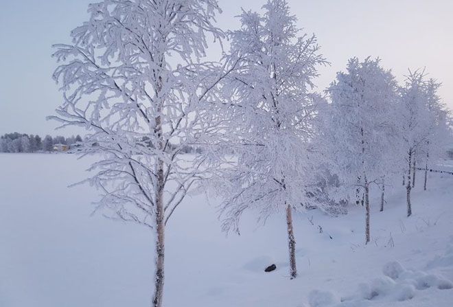 Рекордные снегопады на севере Финляндии принесли около 90 см снега