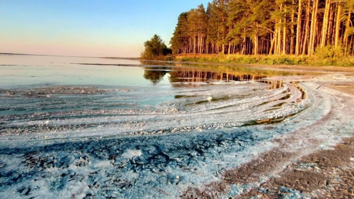 Власти проверяют информацию об экологической катастрофе на озере в Алтайском крае