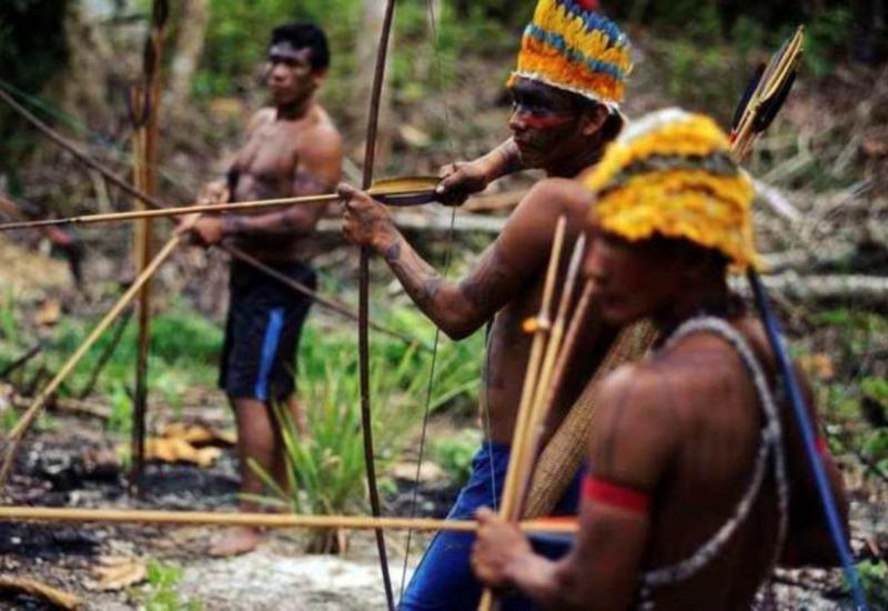 В Бразилии ученого по коренным народам убили стрелой, когда он изучал племя