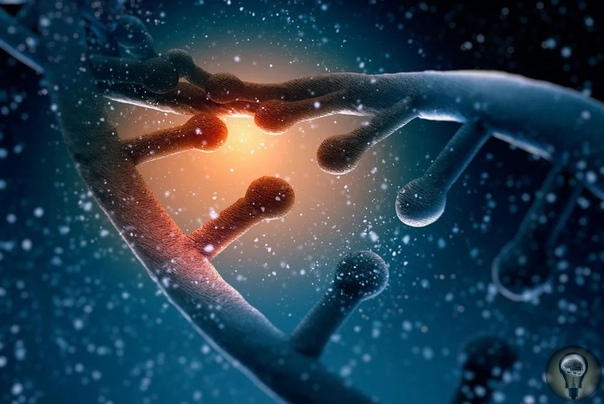 ДНК всех земных видов имеет внеземное происхождение.