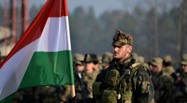Киев нарывается: Эксперт предупредил, что Венгрия может ввести войска в Закарпатье