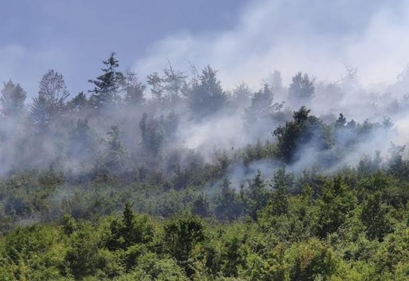 Пожар в Гирканском национальном парке продолжается