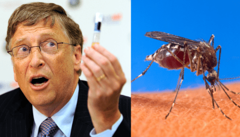 Для вакцинации могут быть использованы “живые летающие шприцы”.