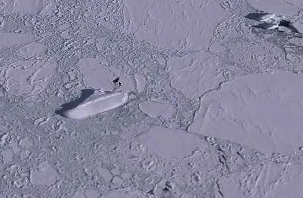 Откуда в Антарктиде взялся загадочный «корабль»