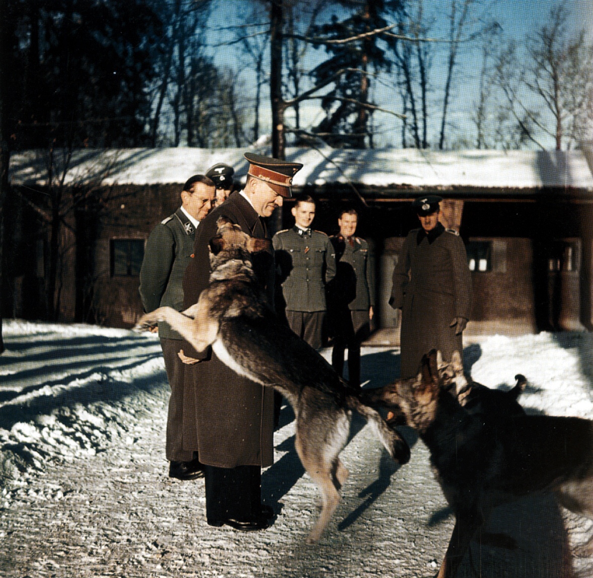Идиллический снимок - Адольф Гитлер и немецкие офицеры выгуливают собак в ставке Растенбург (Rastenburg). Зима 1942-1943 годов.
