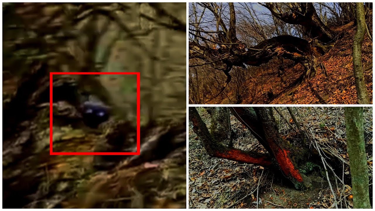Инопланетянин или Призрак напугал туриста в лесу
