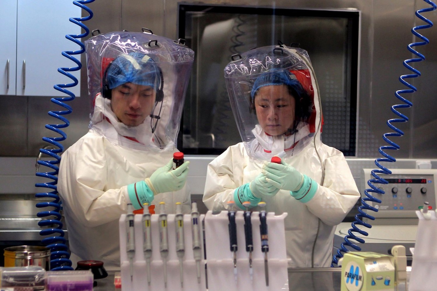 В эпицентре возникновения китайского коронавируса «случайно» оказалась сомнительная биолаборатория