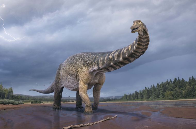 В Австралии нашли самого крупного в мире динозавра