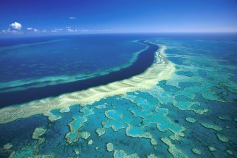 Большой Барьерный риф Австралии находится под угрозой исчезновения