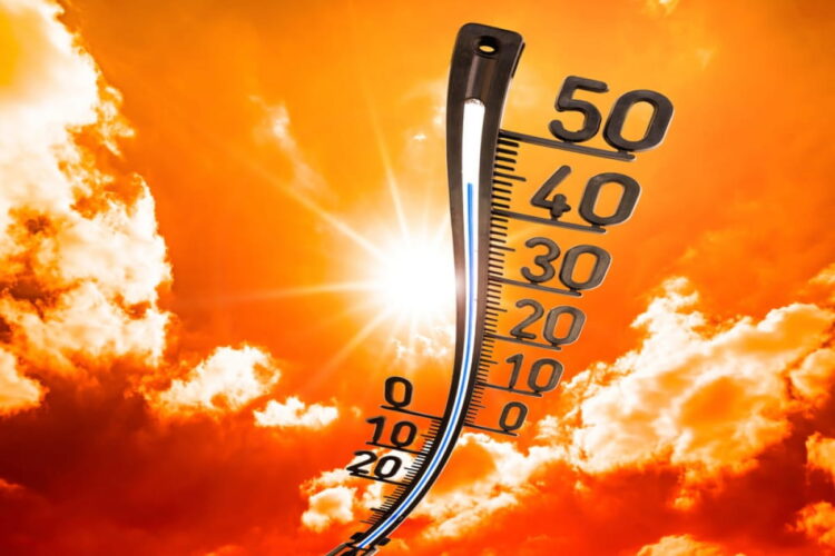 Чем опасна аномальная жара и как её пережить