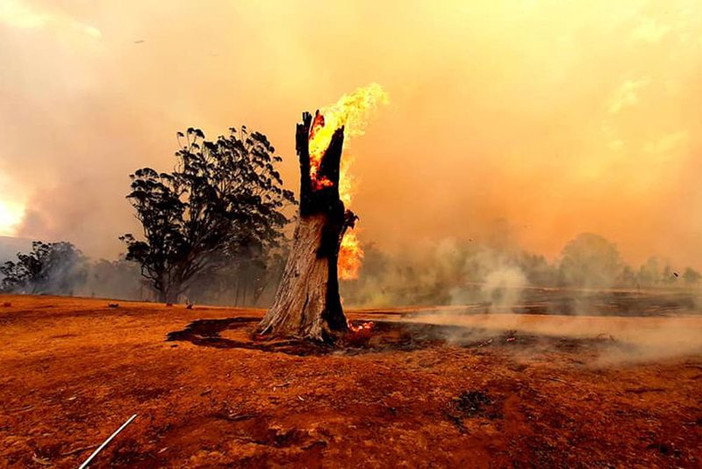Пожары в Австралии обнажили неизвестные следы древней цивилизации