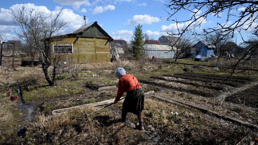В Союзе садоводов России разъяснили особенности «налога на огород»