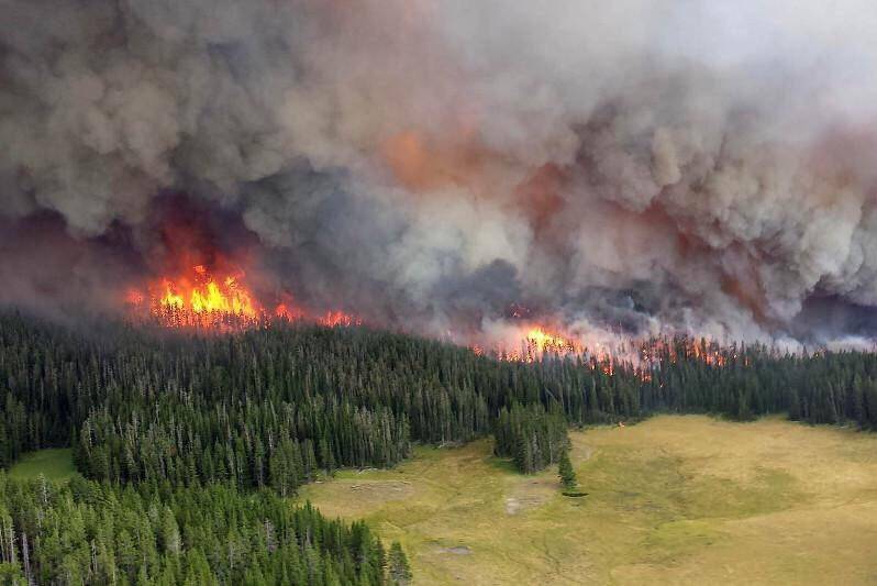 Hейросеть проследит за пожарами в лесах