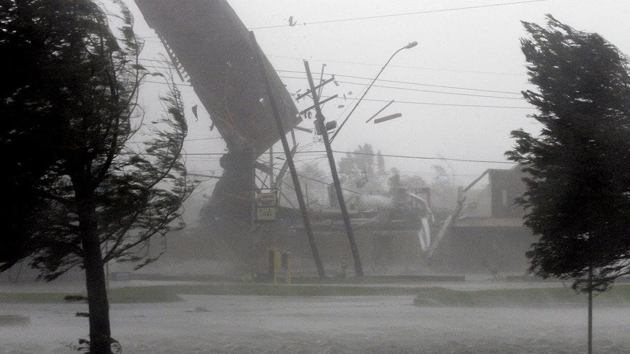 «Листва опала, пришла очередь деревьев, знаков, светофоров»: шторм принес разрушения в Петербург