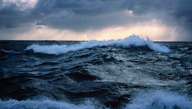 Ученые подсчитали, сколько пластика оказалось в океане из-за COVID-19