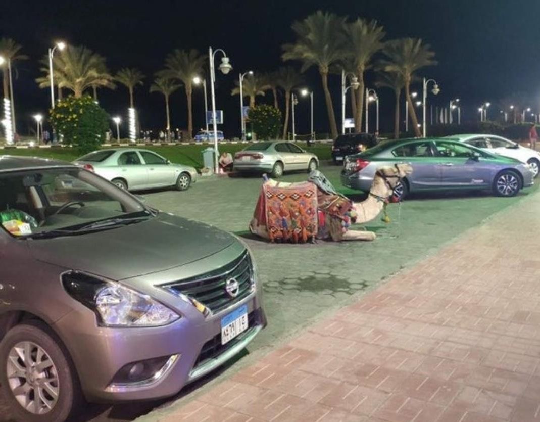 Обычная египетская парковка