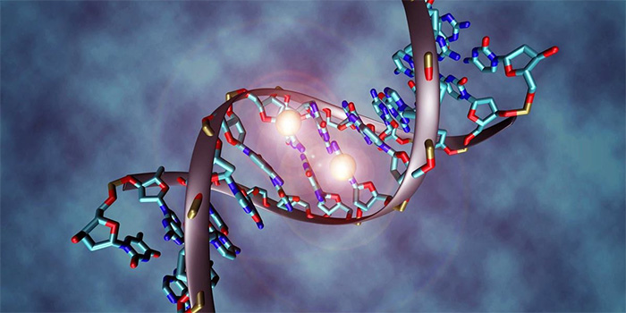 Китайским ученым удалось записать и воспроизвести информацию ДНК на электродах