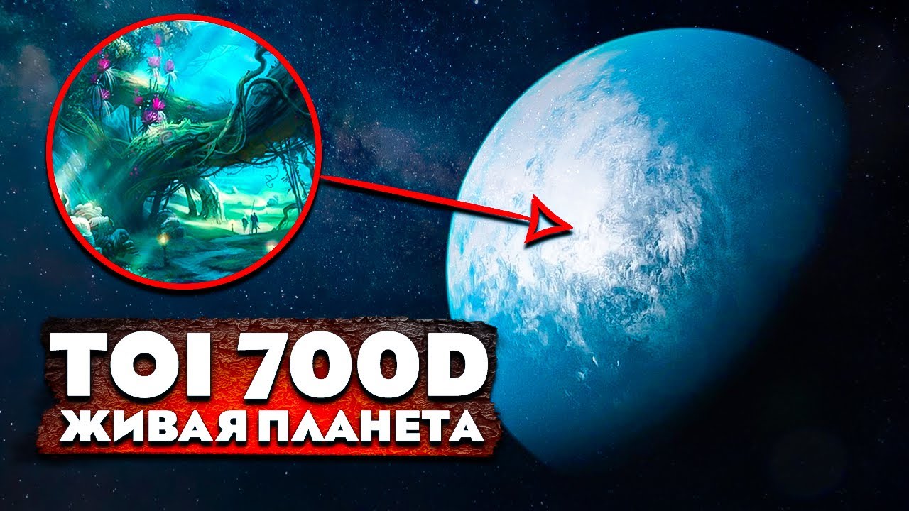 В космосе найдена обитаемая планета TOI 700D !?