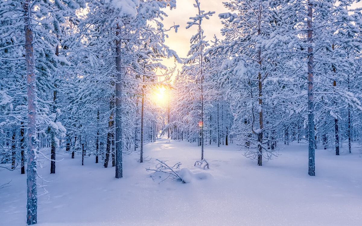 Небесный дар - бесшумный снегопад