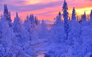 16 фотографий о том, что Россия просто создана для зимы!