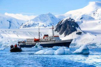 Риск проникновения в Антарктиду инвазивных видов повысился из-за туризма и научных экспедиций