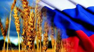 Мировые сельскохозяйственные гиганты не хотят покидать Россию, — WSJ