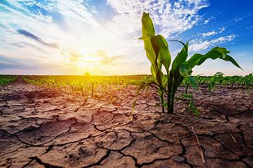 В мире учащаются случаи «внезапных засух»