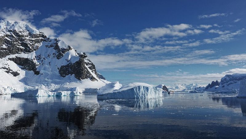 Внезапное обрушение антарктического ледяного шельфа может быть признаком грядущих бедствий