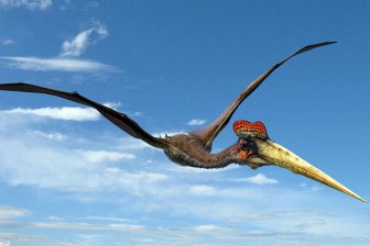 Динозавр, прозванный «Дракон смерти» имел девятиметровые крылья