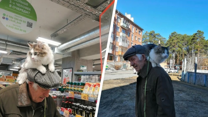 Пенсионер в Красноярском крае ходит с котом на голове