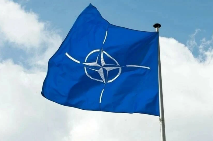 Экс-посол США в России Макфол признал, что США врали Киеву о вступлении в НАТО