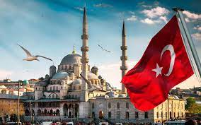 В Турции предложили закрыть все американские военные базы в стране