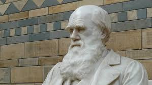 Ваше отношение к теории Дарвина о происхождении видов, и в частности человека ?