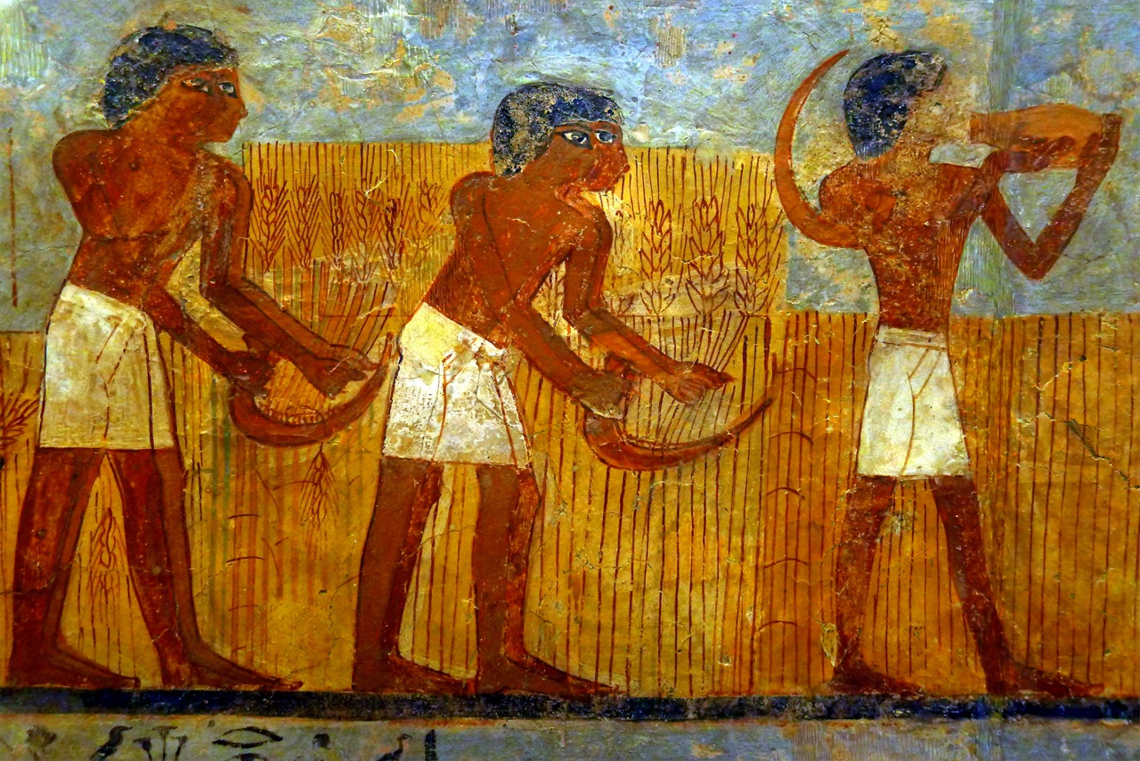 жизнь крестьян в стране фараонов