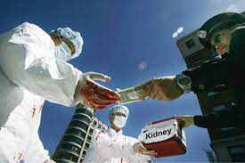 «Черная» трансплантология  на Украине  - на сегодня главный источник органов во всем мире.