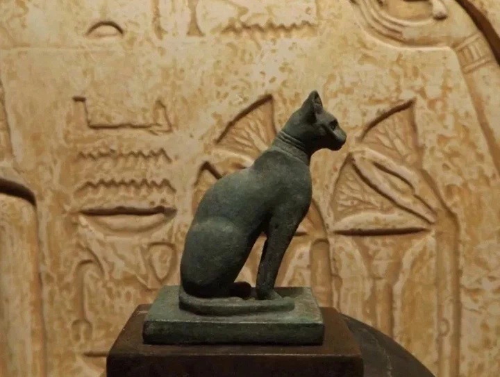 Известно, что в Древнем Египте почитали кошек