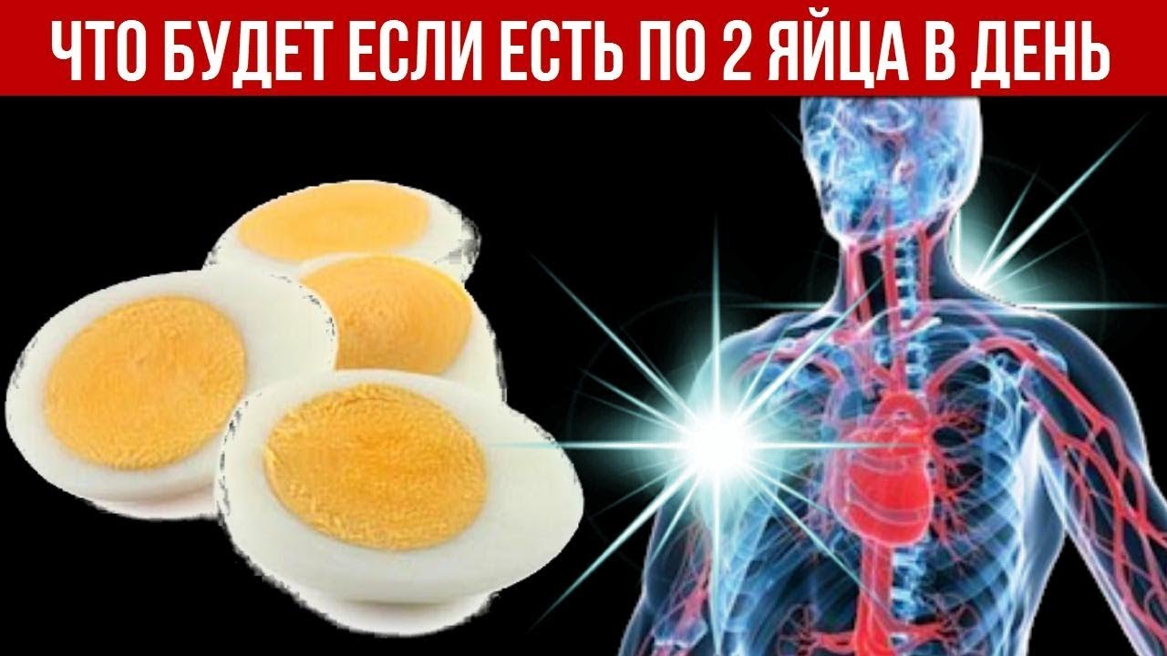 Что будет с Организмом если Есть по 2 яйца в день Изменения которые происходят в Теле Человека