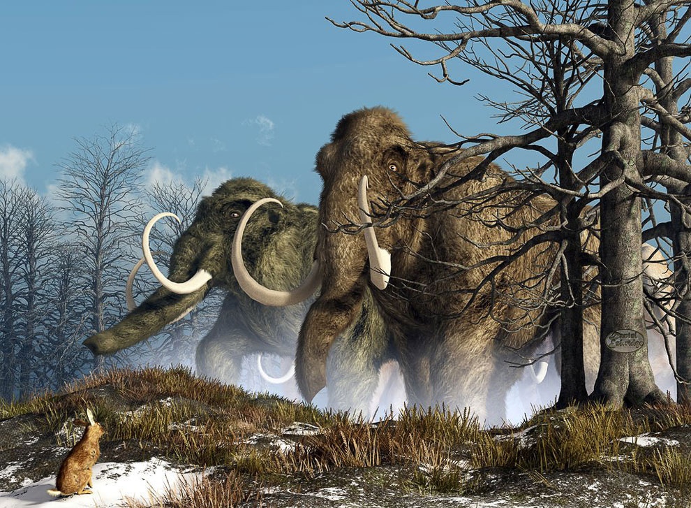 По официальной истории мамонты вымерли 10-14 тысяч лет назад