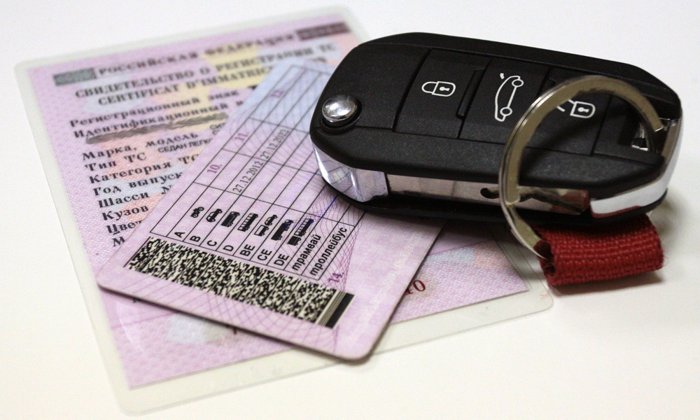 Цифровые водительские права стали доступны в официальном приложении