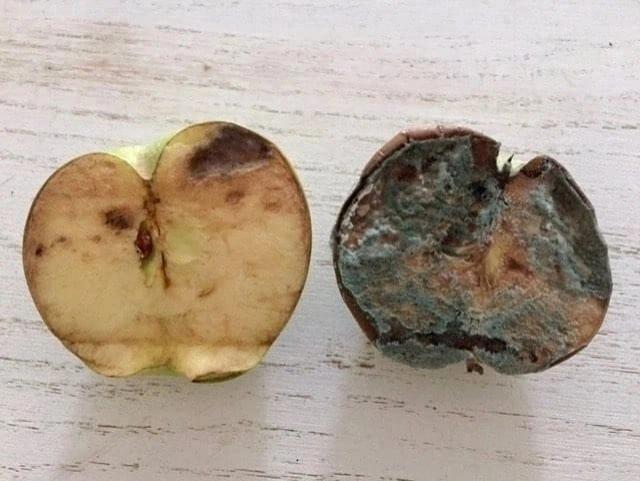 Встречайте счастливое яблоко (слева) и грустное яблоко (справа) - 2 половинки одного яблока