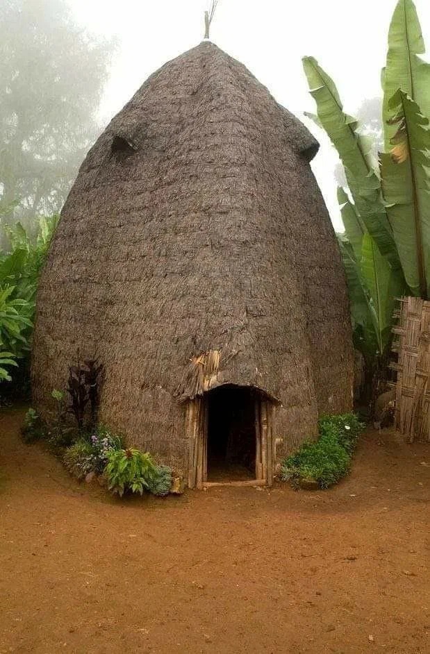 Бесплатные дома. Построить дом из бамбука