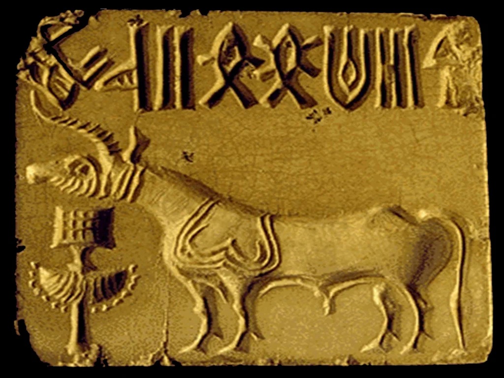 Хараппская цивилизация: почему погибло самое большое государство древности