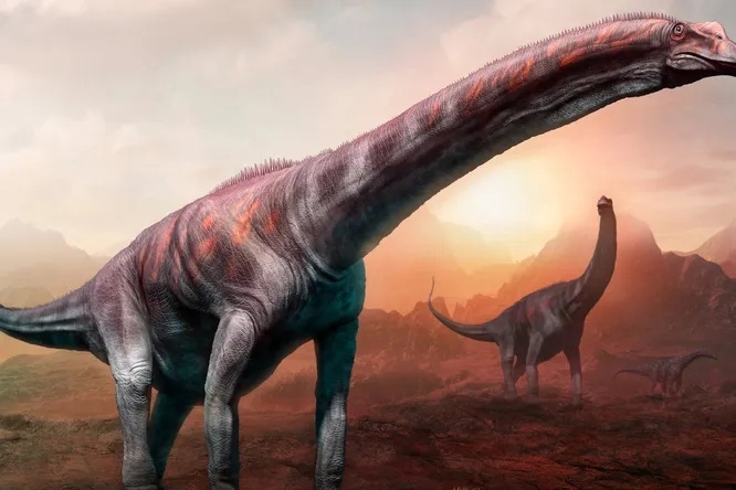 Останки динозавра, найденного в Аргентине, могут принадлежать самому крупному животному Земли