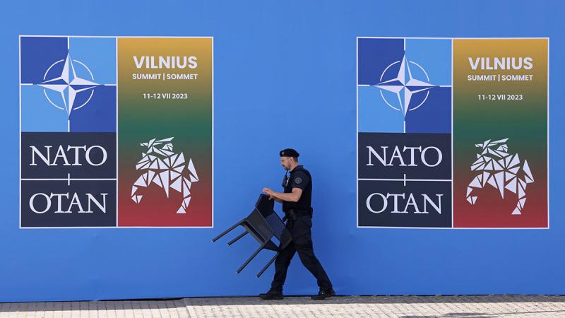О морковке и "красных линиях": почему саммит НАТО в Вильнюсе срежиссирован по законам Голливуда