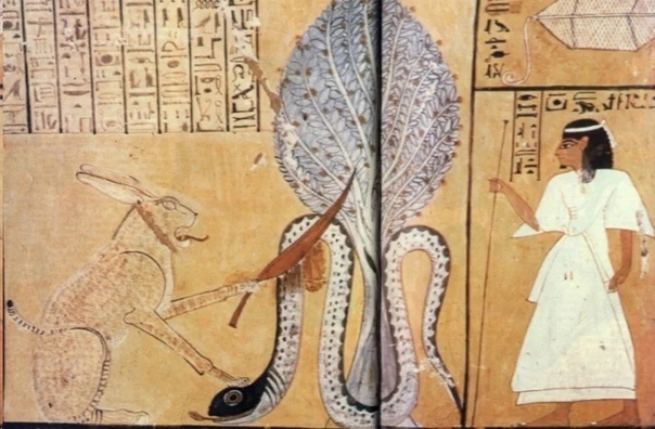 Египетский миф о разумных змеях, погибших от летящей звезды смерти