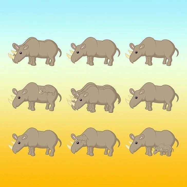 посчитайте на картинке носорогов.
