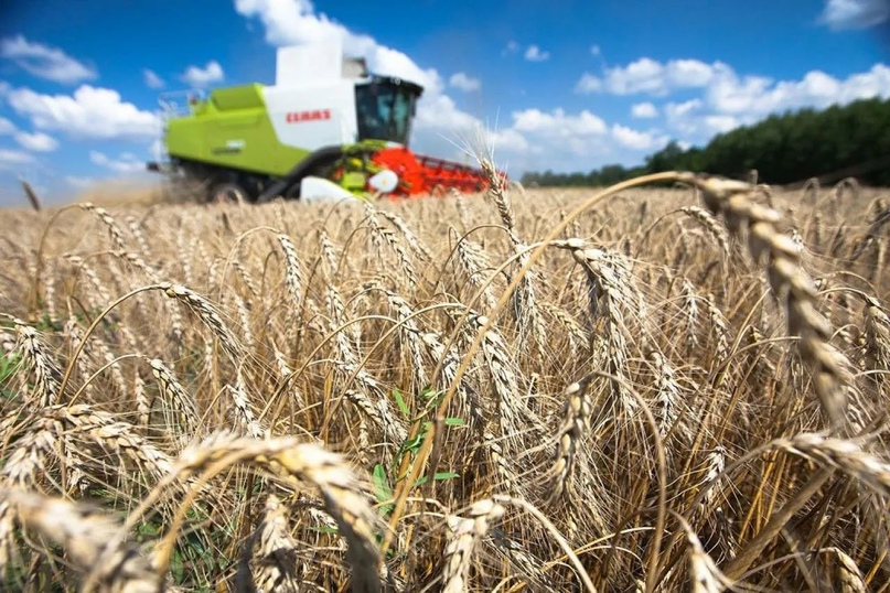 Полянский: Россия вернется в зерновую сделку, когда Запад выполнит семь условий